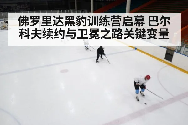 ice hockey training camp | kaiyun